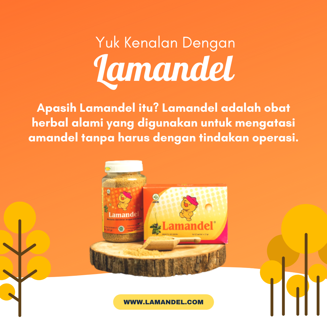 Yuk Kenalan Sama Lamandel