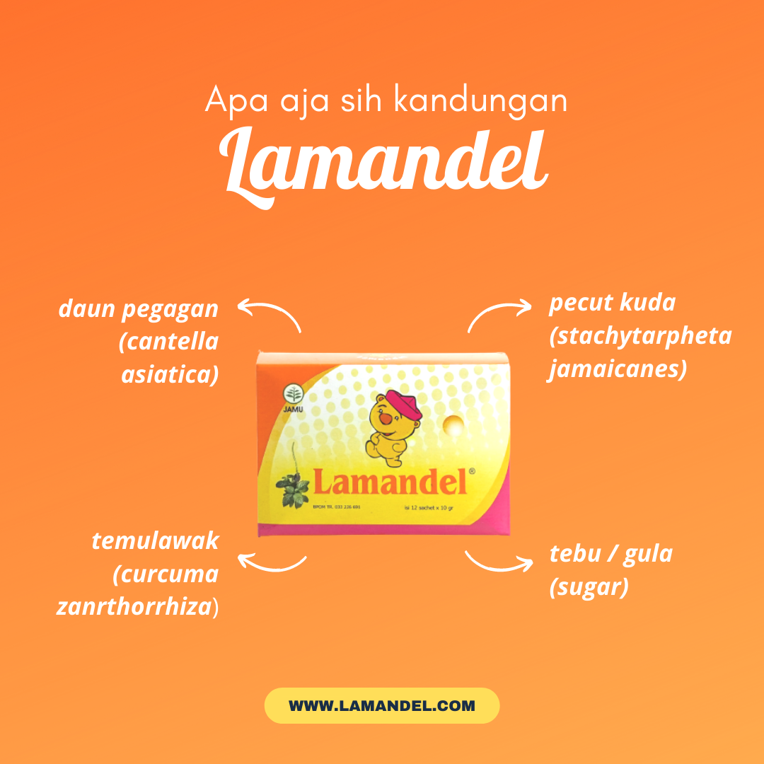 Kandungan Dalam Lamandel