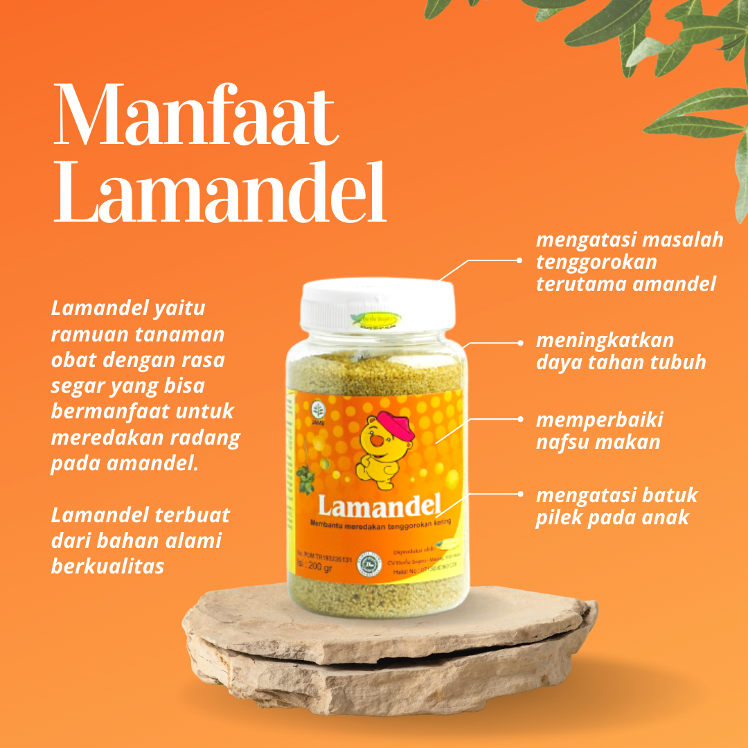Yuk Kenalan Sama Lamandel