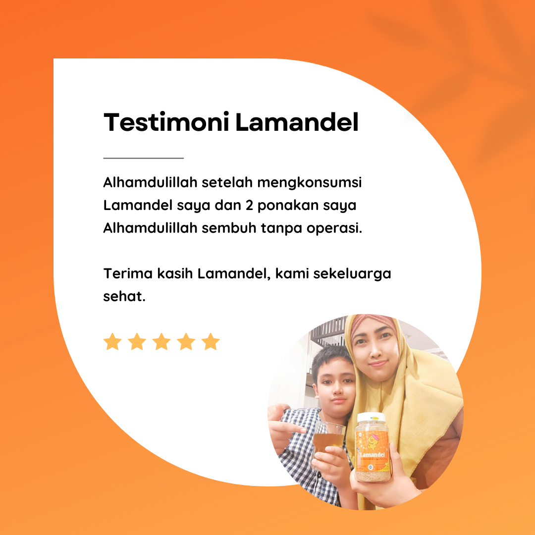 Yuk Kenalan Sama Lamandel