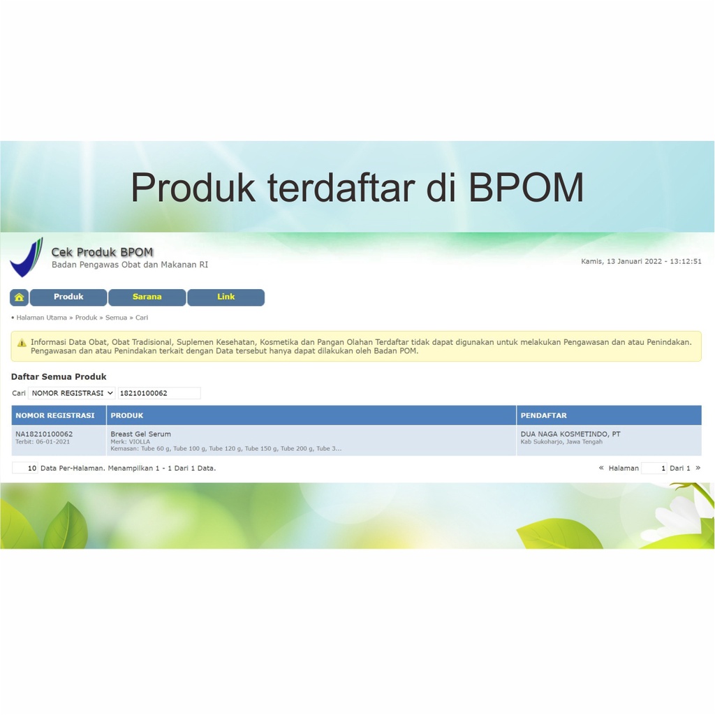 Violla Breast Gel Serum Obat Pembesar Payudara Bpom Mengencangkan Payudara Yang Kendur Aman Untuk Ibu Menyusui Ampuh Cepat Permanen isi 100ml