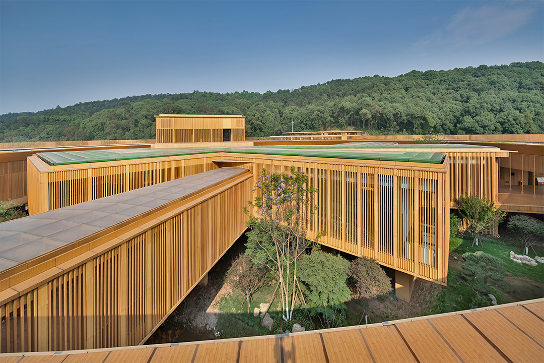 Why NAUF Glue Matters When Choosing Bamboo Plywood Panels
