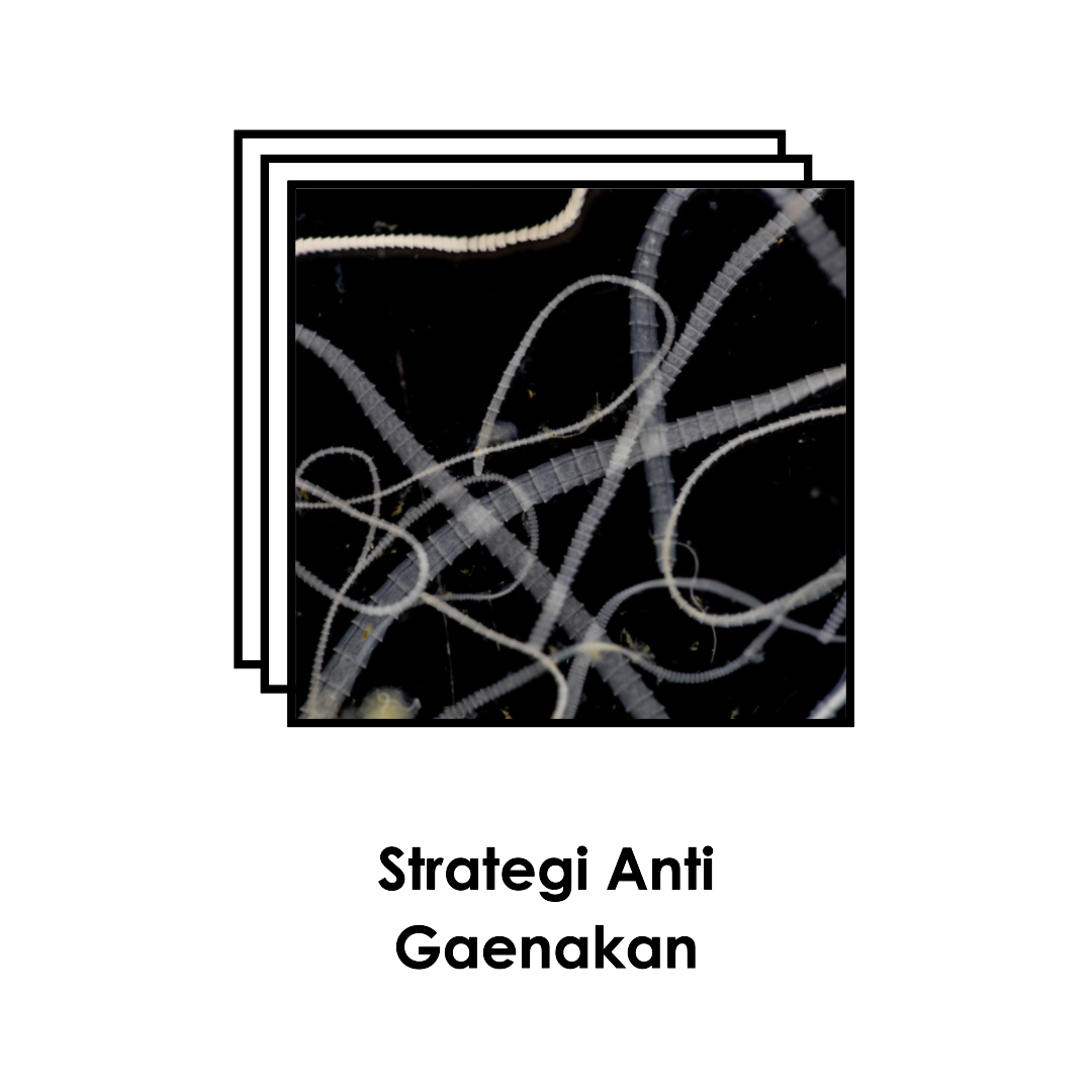 Strategi Anti Gaenakan