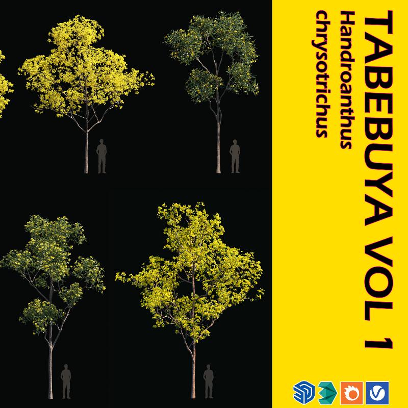 03. TABEBUYA VOL 1 PACK