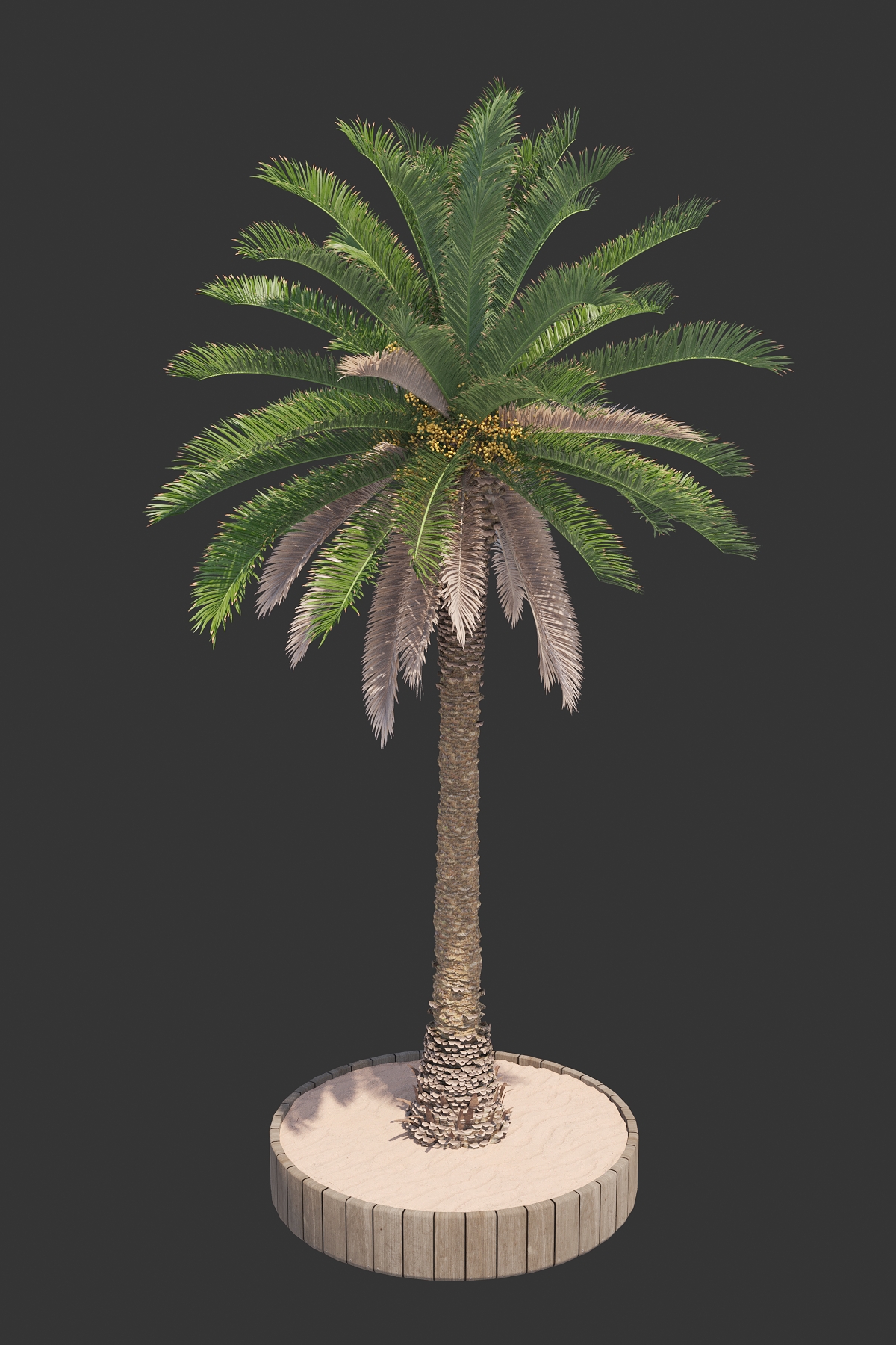 11. POHON PALEM VOL 1 PACK