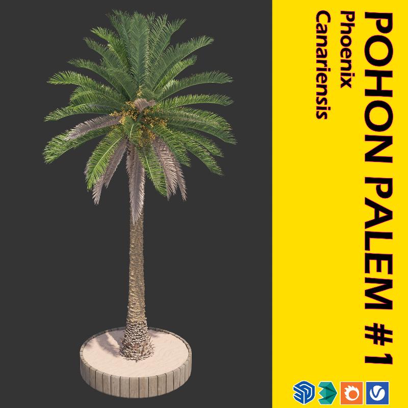 12. POHON PALEM #1
