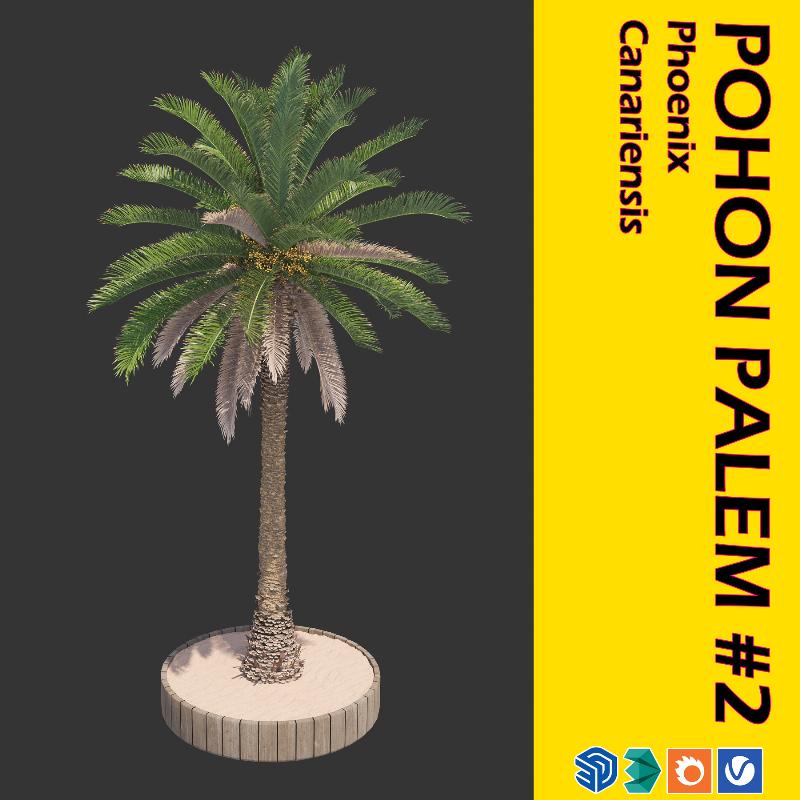 13. POHON PALEM #2