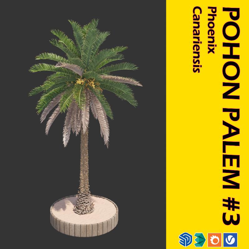 14. POHON PALEM #3