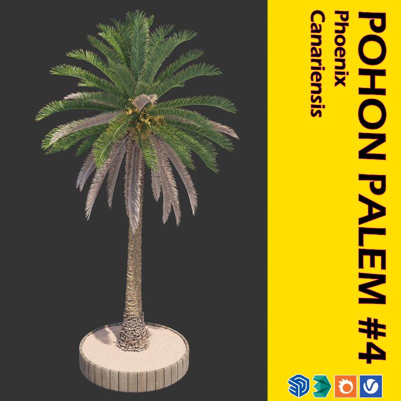 15. POHON PALEM #4