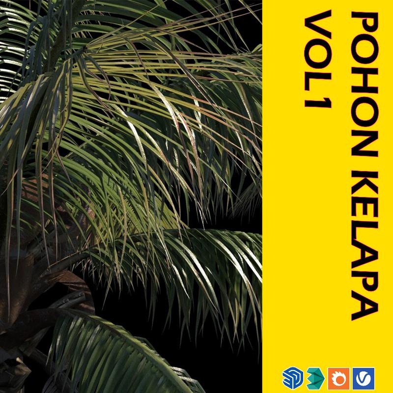 16. POHON KELAPA VOL 1 (COCONUT TREE)