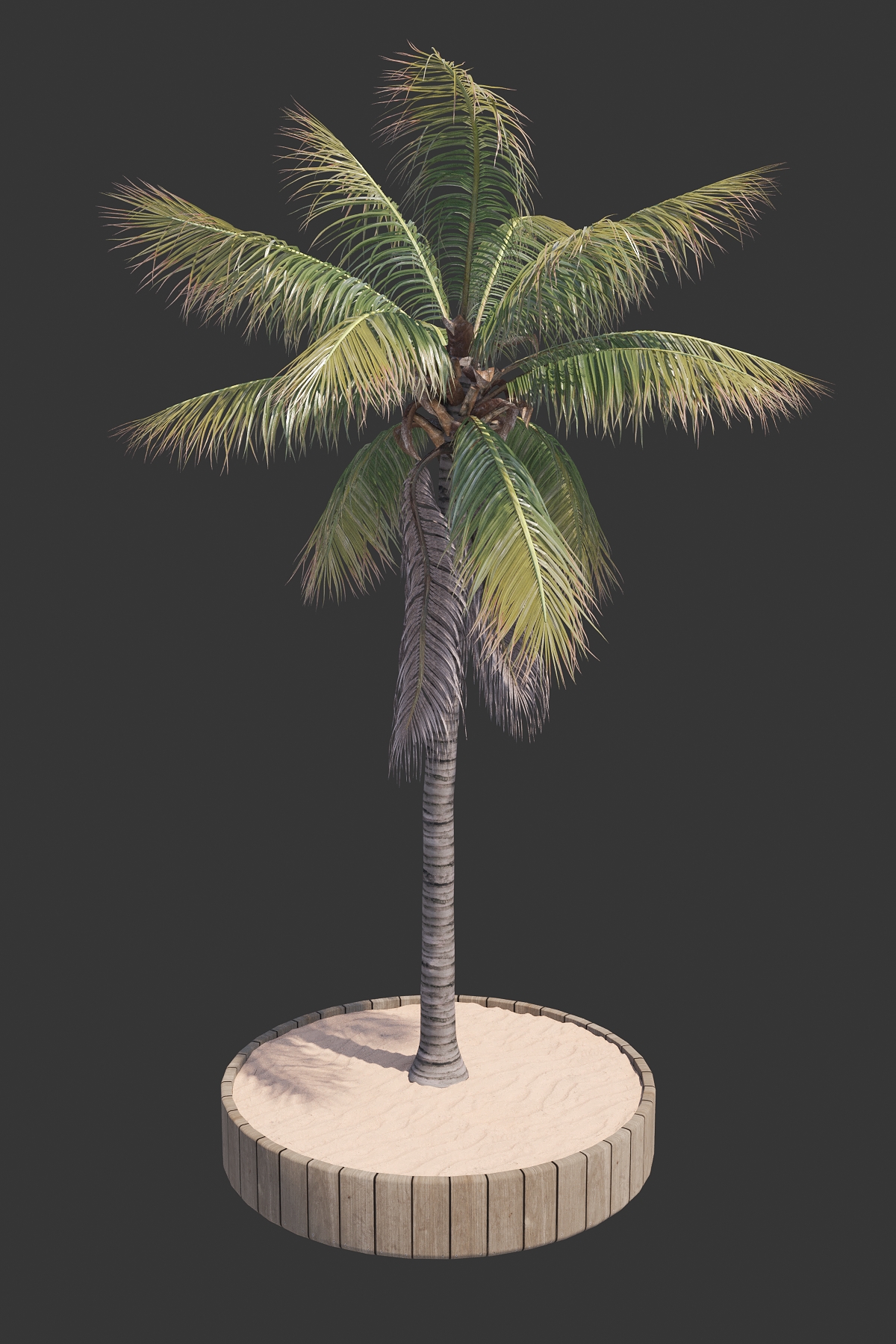 17. POHON KELAPA #1 (COCONUT TREE)