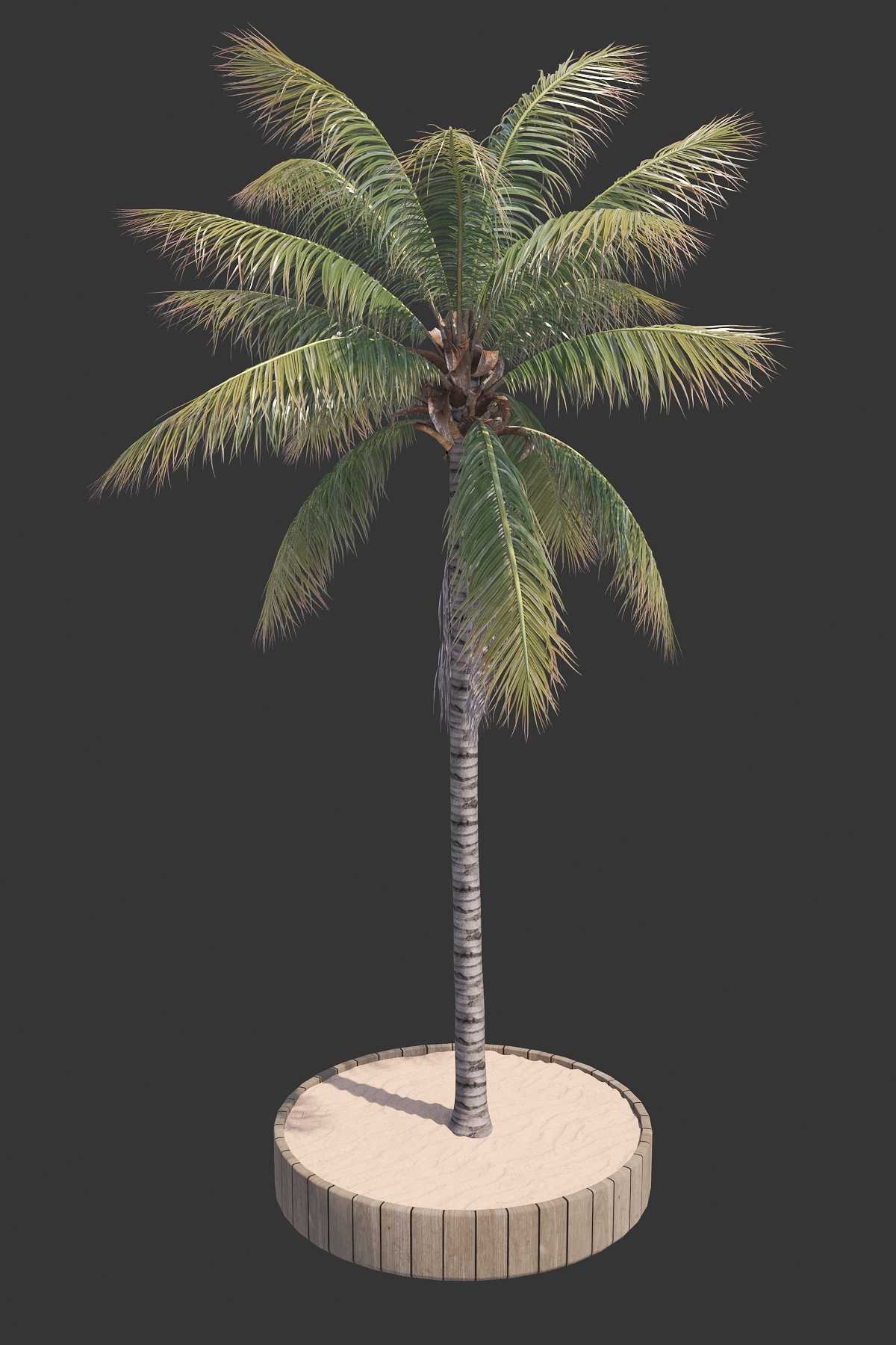 18. POHON KELAPA #2 (COCONUT TREE)