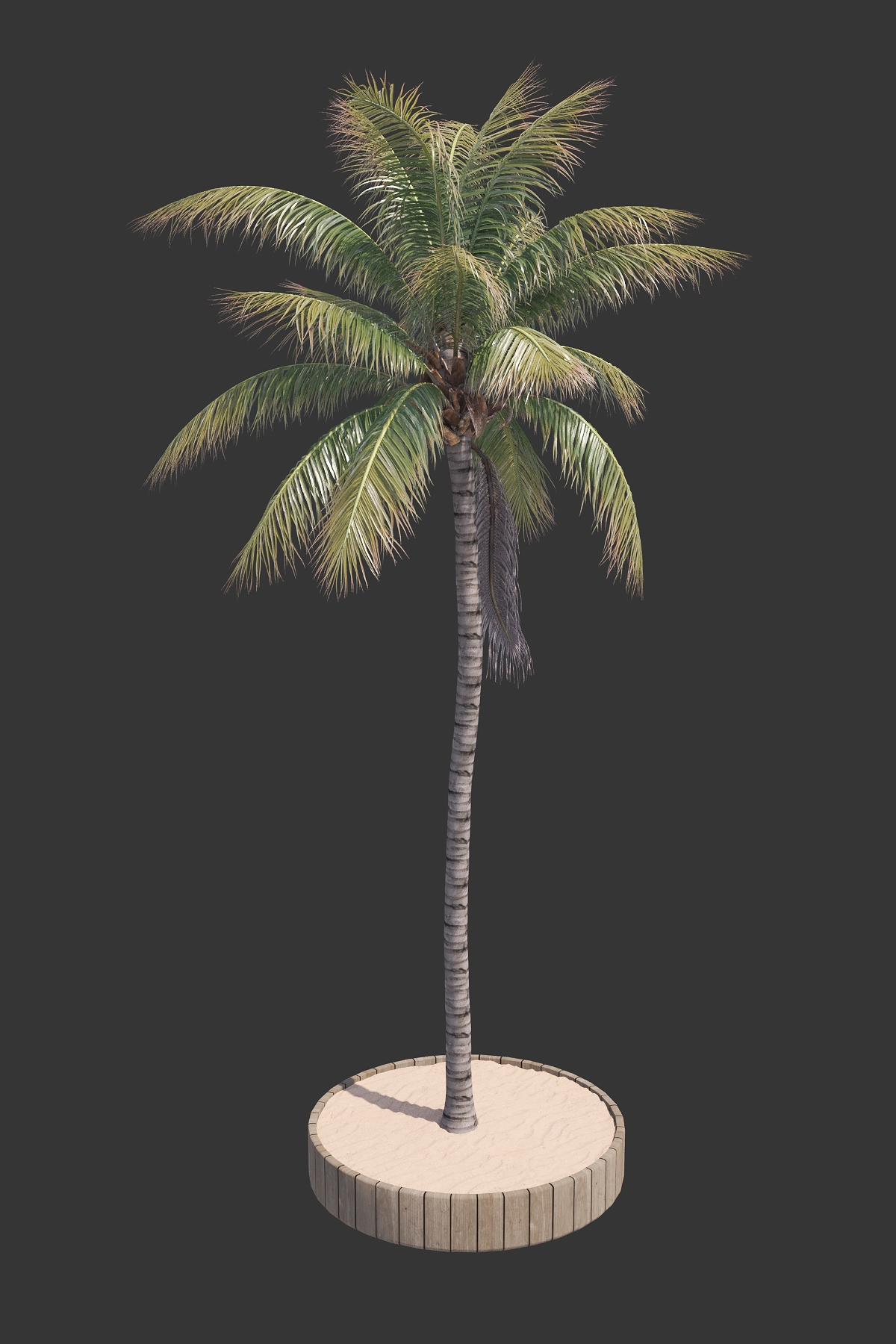 19. POHON KELAPA #3 (COCONUT TREE)