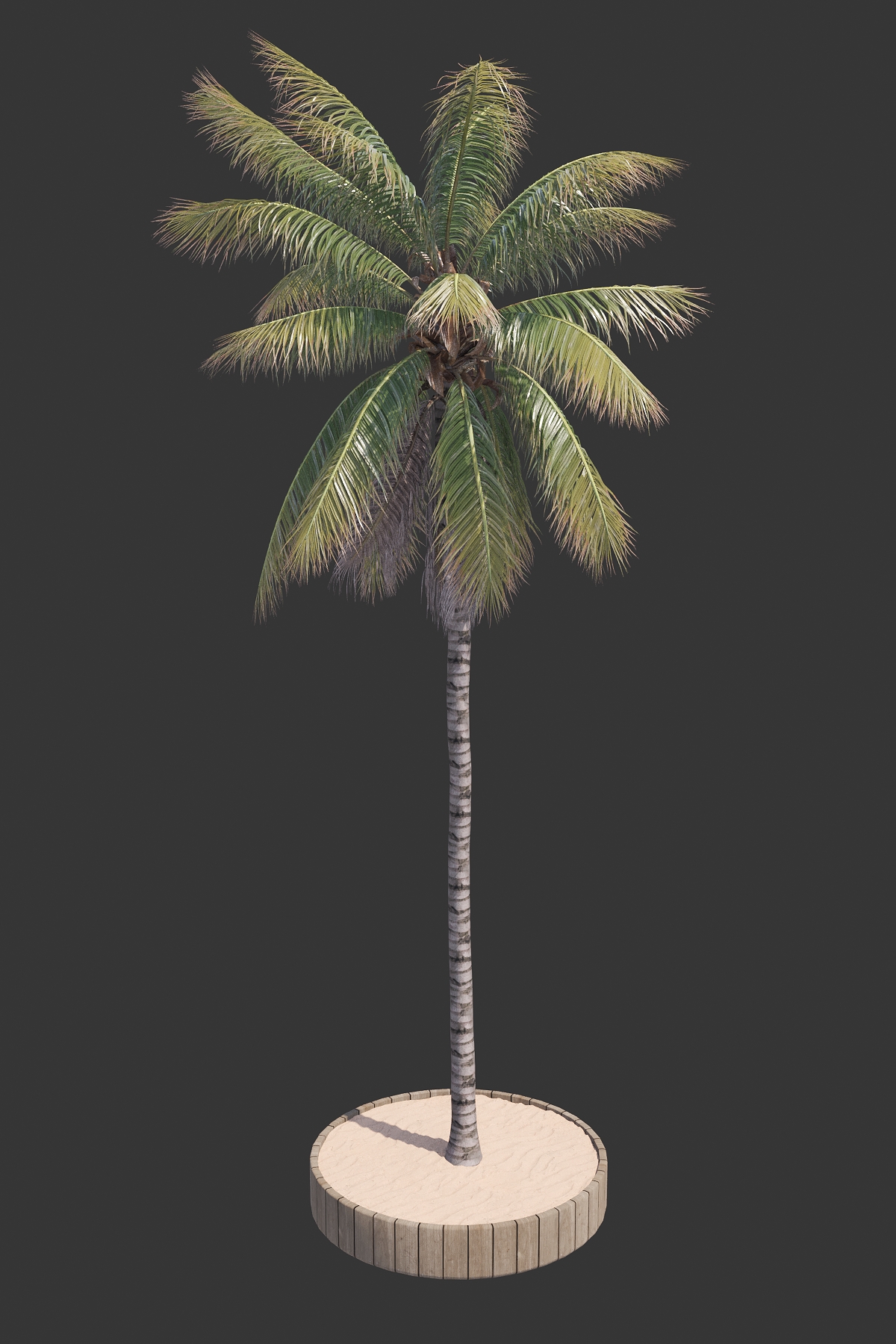 20. POHON KELAPA #4 (COCONUT TREE)